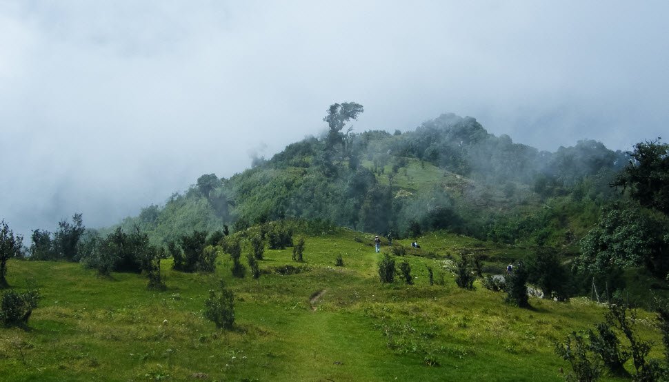 Singalila National Park